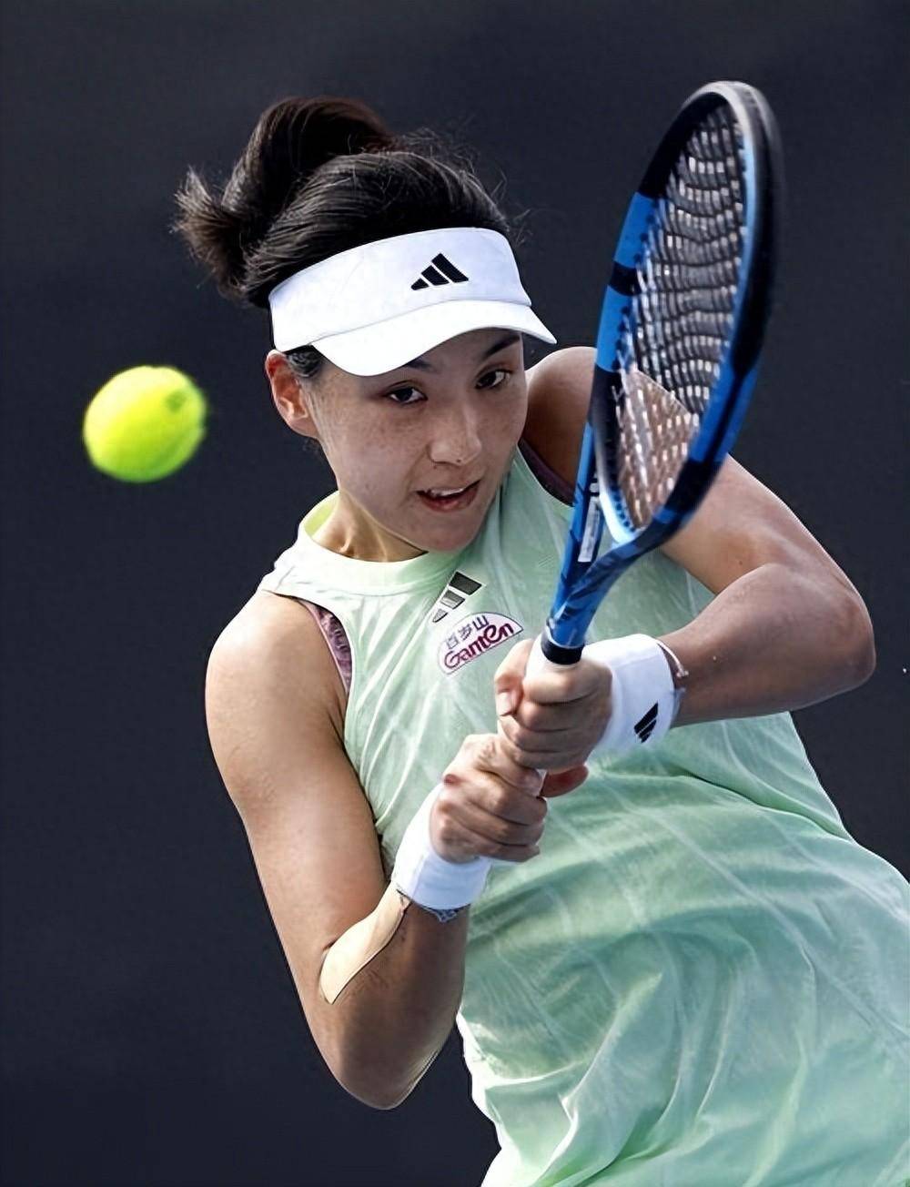 视野著称 视野著称