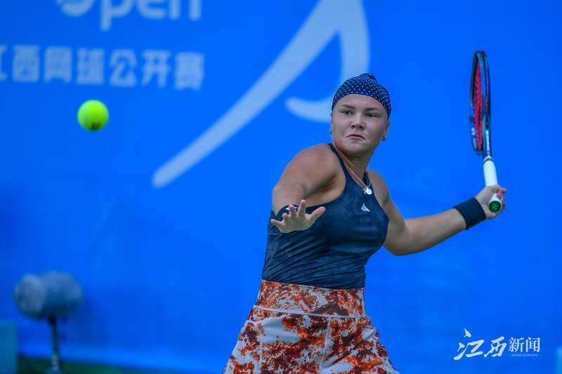 类似争议的 类似争议的